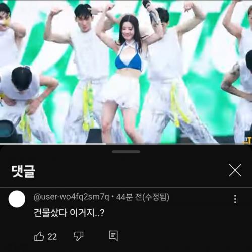 한남들 짭이모 댓글