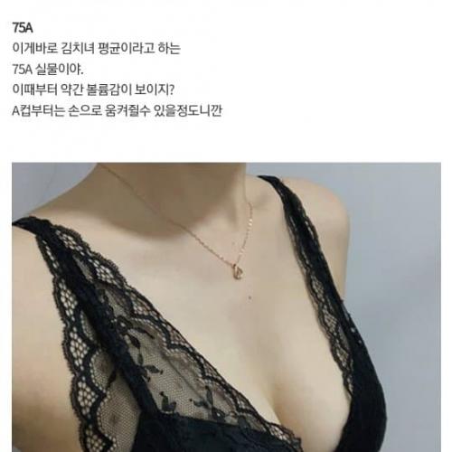 가슴 크기별 실물을 알아보자